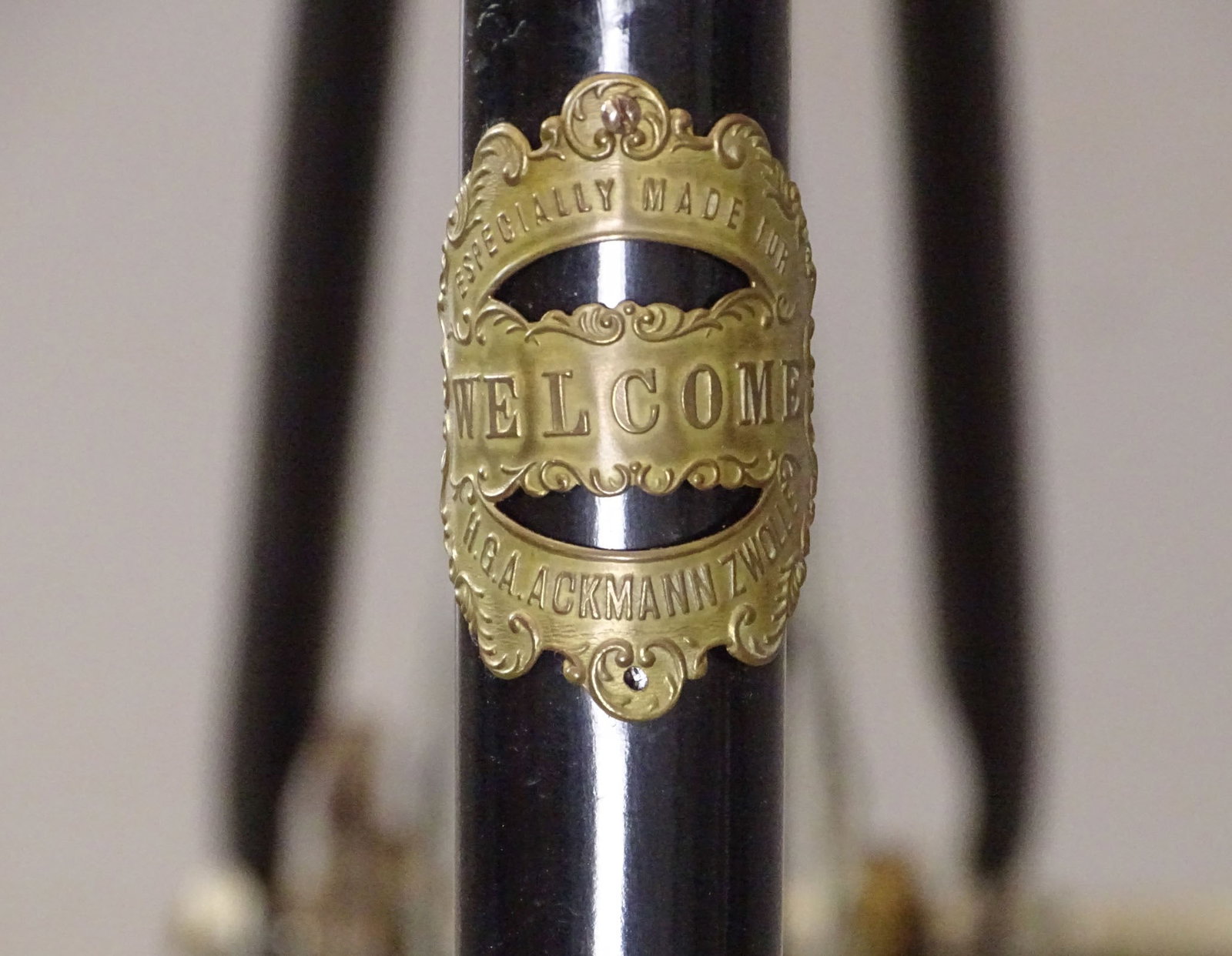 Welcome Pneumatic Safety Bicycle - 5