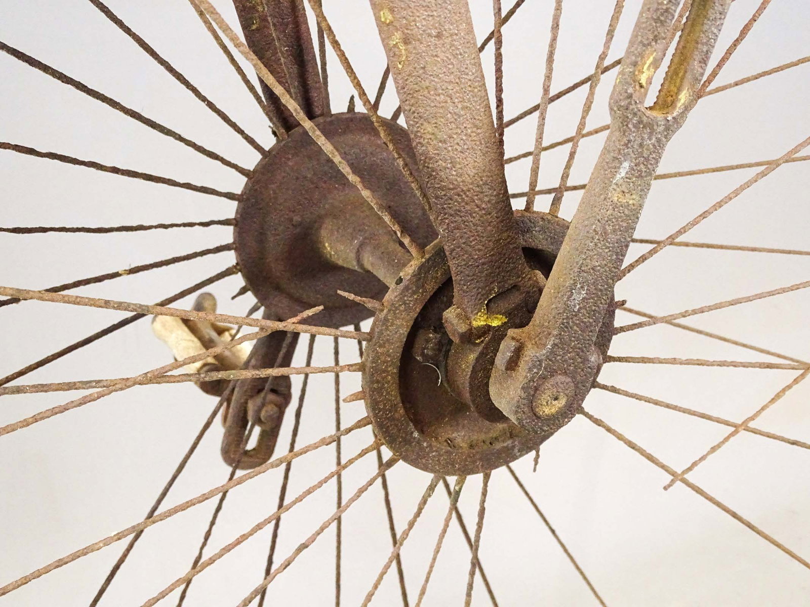 Barn Find High Wheel Bicycle - 2