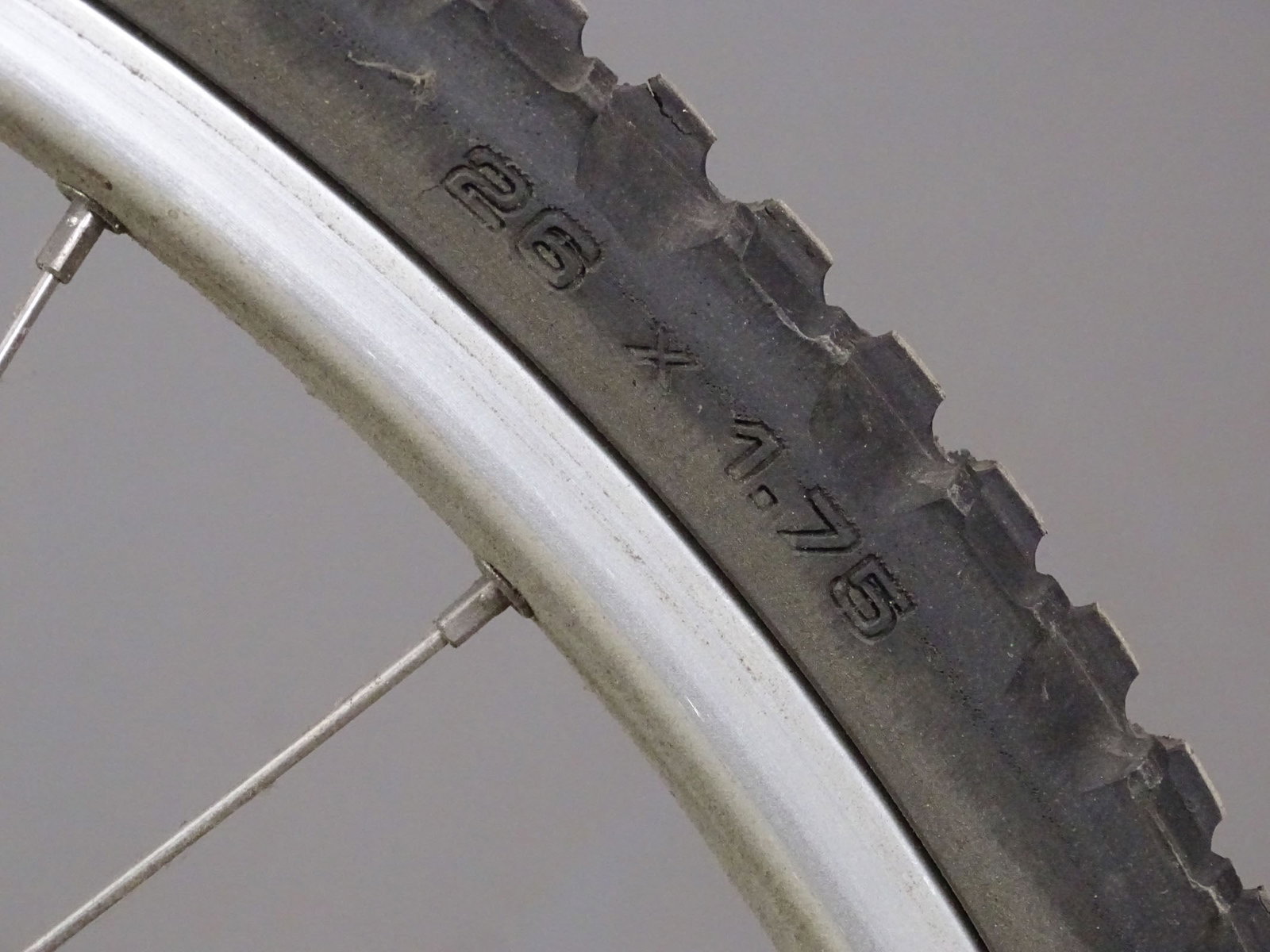 Unusual Dan/Ed Belt Driven Bicycle - 5