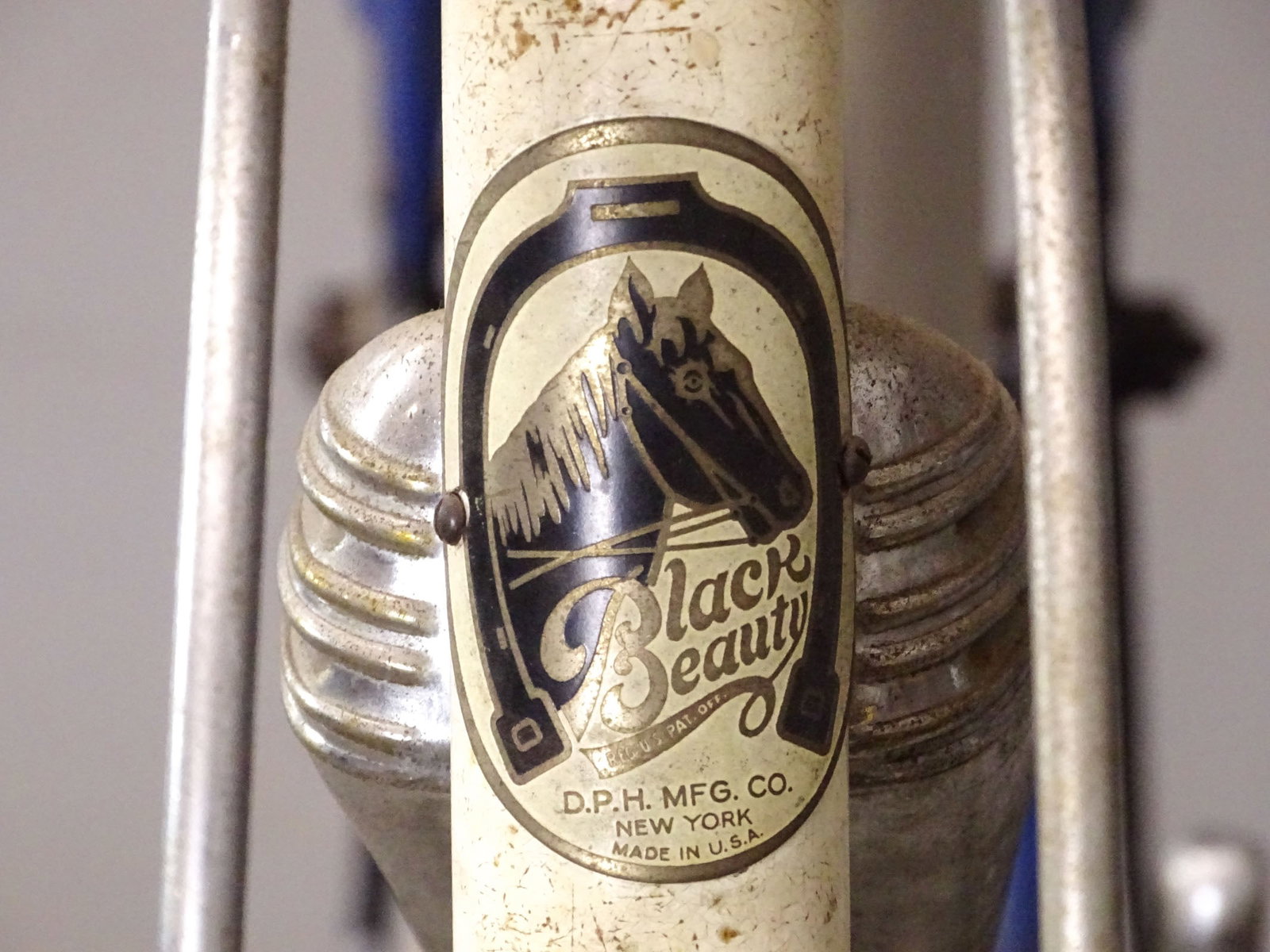 Black Beauty Bicycle - 6