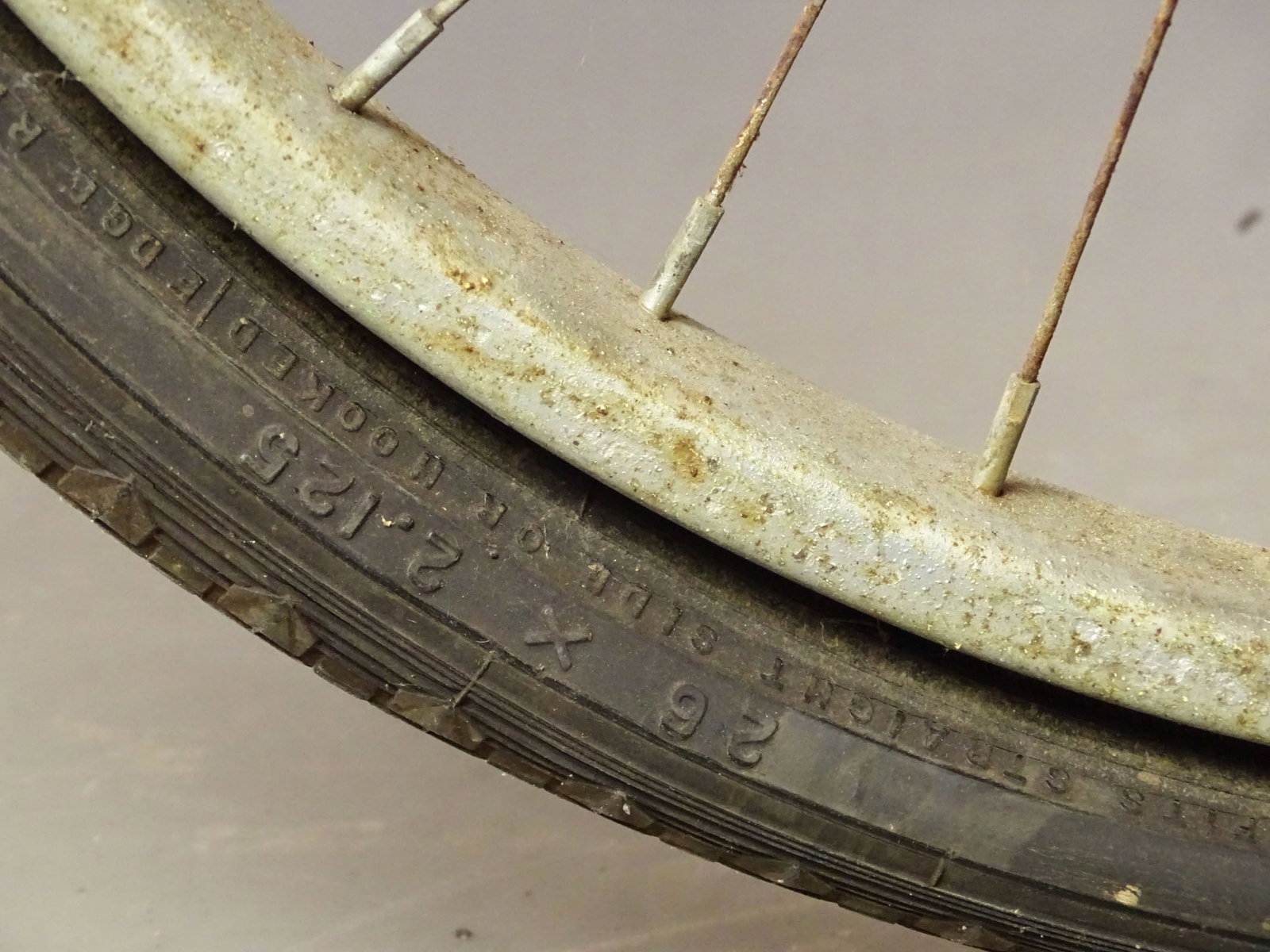 Vintage Tandem - 6