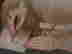 item-25039798=9