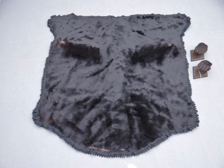 Bear Rug: Lot including bear rug and bear paw wall hooks. Rug 59" x 64".