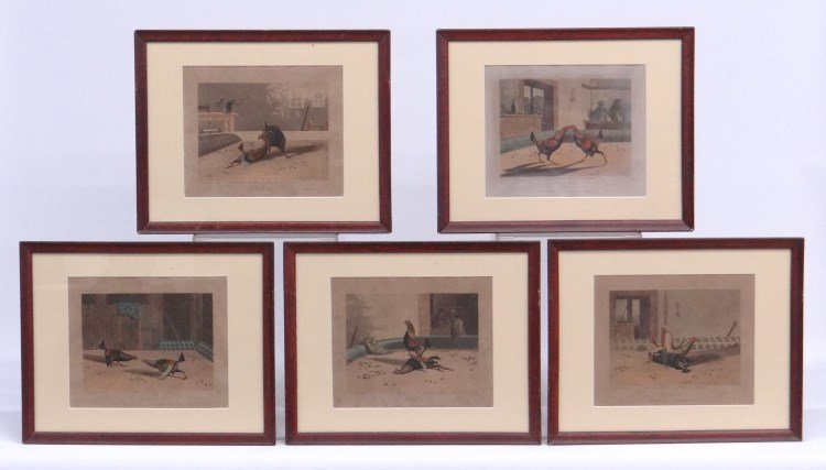 19th c. Cock Fighting Prints: Set of five 19th c. Cock Fighting prints "Drawn & Engraved by N. Fielding", "Published July 1, 1853 R.A. Ackermann". Sights 8" x 9 1/2" each.
