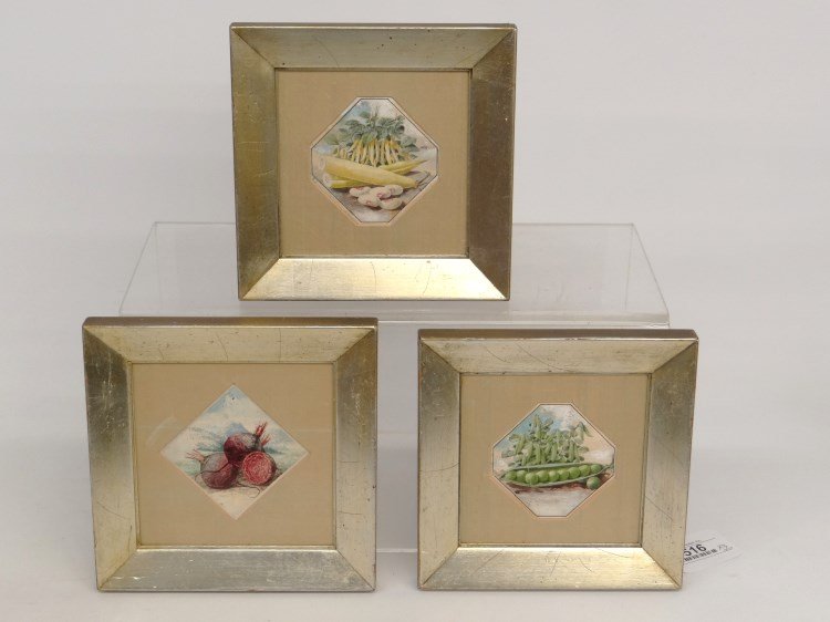 Watercolor Painting Lot: Collection of (3) vegetable watercolor paintings. Provenance on back x. 1905 made for Jerome B. Rice Seed Co. Cambridge Washington County NY. Sight 3 1/2" x 3 1/2". Well framed.
