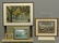 Framed Lot