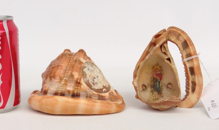 Carved Shells: Lot two seashells, one carved with cameo design.
