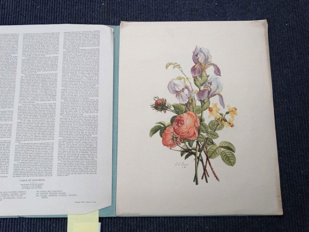 Helen A. Tuttle Artwork Portfolio (1 of 9)