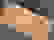 item-42492683=2