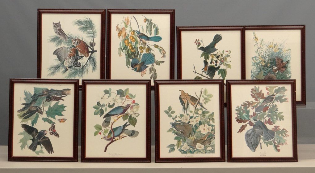 Audubon Prints (1 of 10)