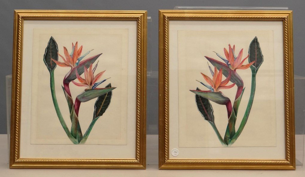 Mrs. Robert Lee Jones, Floral Watercolors (1 of 9)