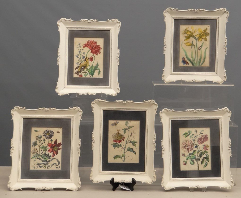 Framed Botanical Prints (1 of 10)
