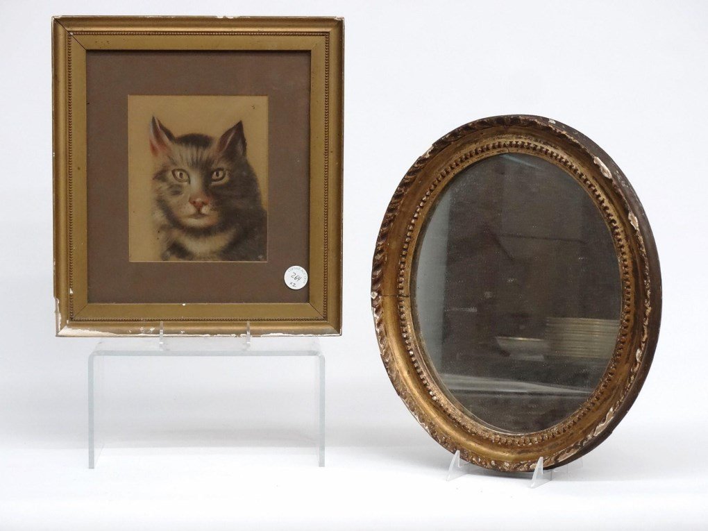 Pastel, Drawing Of  Cat (1 of 4)