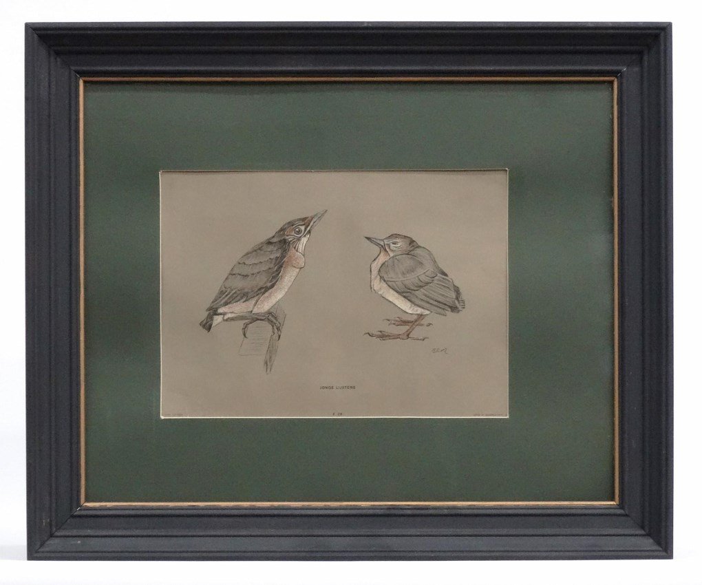 Bird Print: Bird print "Jonge Lijsters", sight 9" x 12 1/2".