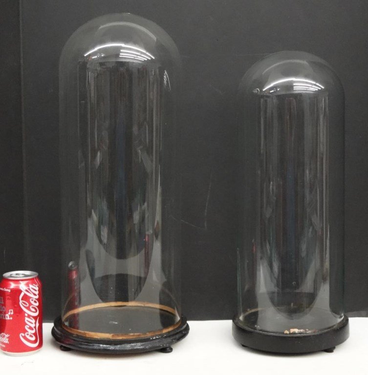 Glass Domes With Wood Bases (1 of 5)