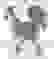item-48840620=5