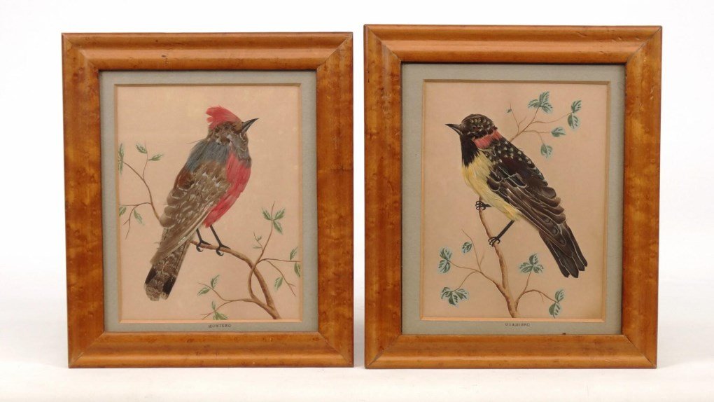 Pair 19th c. Feather Pictures (1 of 9)