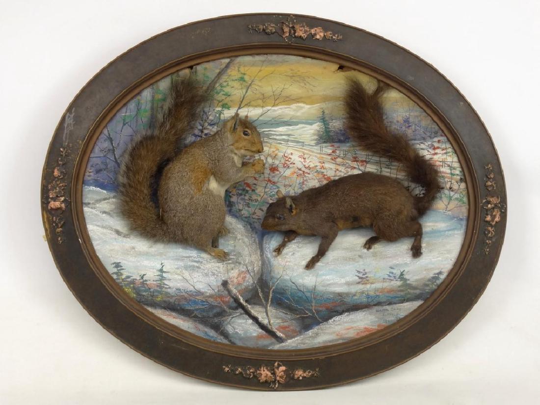 Early Squirrel Diorama (1 of 5)