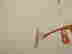 item-50892335=10