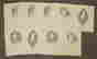 item-50892335=11
