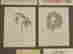 item-50892335=3
