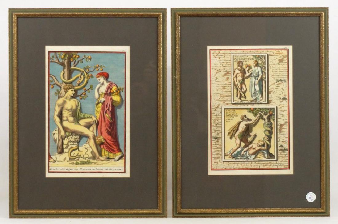 Volckamer, Pair of Hercules Garden Fruit Prints (1 of 9)