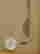 item-50892620=6