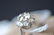 18k white gold diamond solitaire cluster ring - 7