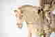 item-60800283=3