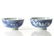 PAIR OF CHINESE BLUE & WHITE PORCELAIN BOWLS