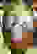 item-66364422=3