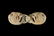 CHINESE JADE CARVED BELT BUCKLE SET