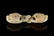 CHINESE JADE CARVED BELT BUCKLE SET - 2