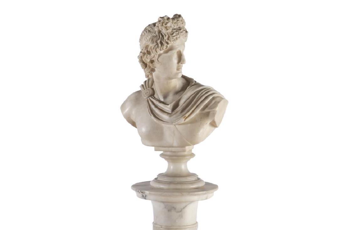 Carved marble bust after Apollo Belvedere (1 of 1)