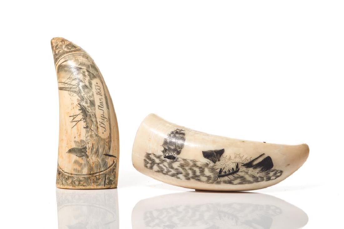 Two carved and painted scrimshaws: For the Ship Star 1855 and another with similar ship and whale iconography. L 4 1/8in. BIDDERS LIVING OUTSIDE OF CANADA are warned to proceed with care before bidding on this lot as it cannot be shipp