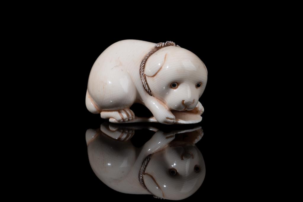 JAPANESE NATURAL CARVED NETSUKE OF PUPPY: Signed Shozan (Matsuyama) to base. Meiji period. L. 5cm (2 in.) BIDDERS LIVING OUTSIDE OF CANADA are warned to proceed with care before bidding on this lot as it cannot be shipped outside of Canada in