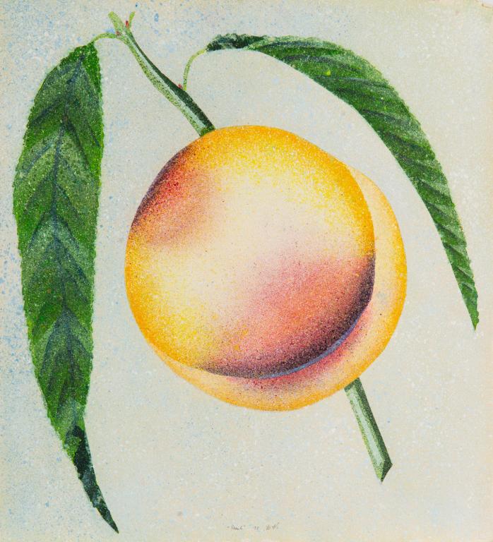 DAVID ALLEN THAUBERGER (Canadian, b. 1948): Peach (1978) Watercolour/mixed media on wove paper, unframed. Signed, titled and dated verso Size: 22 x 20.5 in. Unframed.
