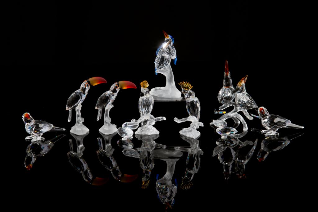 SWAROVSKI CRYSTAL COLLECTION OF EXOTIC BIRDS: Group of ten clear figurines with coloured details, including: two small parrots, two toucans, two miniature pelicans, two cockatoos on bases, a pair of cockatoos together on branch, and a pair of blu