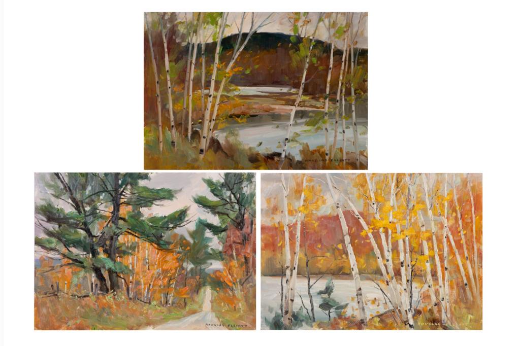 DOULAS FERGUSON ELLIOTT (Canadian, 1916-2012): Landscapes (3) Near Haliburton, Ont. Oil on Masonite Size: 20 x 28 in. Birch Tree Fantasy, Madawaska, Ont. Oil on Masonite Size: 20 x 28 in. Sideroad in October, Ontario Oil on Masonite Size: 20 x 28 