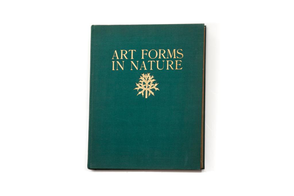 [PHOTOGRAPHY] Blossfeldt, Karl-Art Forms in Nature: BLOSSFELDT, Karl. ART FORMS IN NATURE. London: A. Zwemmer, 1929. First edition in English. xv., [120 pp].Illustrated with gravure plates. 4to, green cloth with gilt lettering, generally a very good co