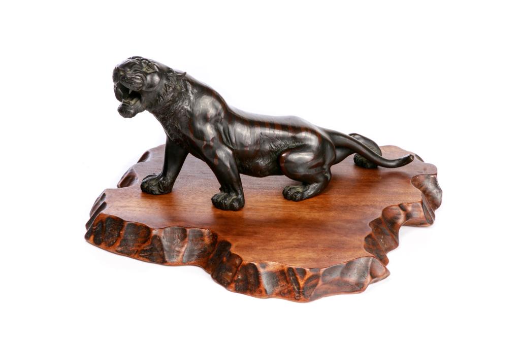 JAPANESE MEIJI BRONZE TIGER FIGURE WITH WOOD STAND: Roaring tiger with two toned patination to body. Signed Hanehiroya. Length of bronze: 32.5cm (12 3/4 in.) Length of wood base: 32cm (12 1/2 in.)