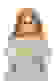item-102432712=3