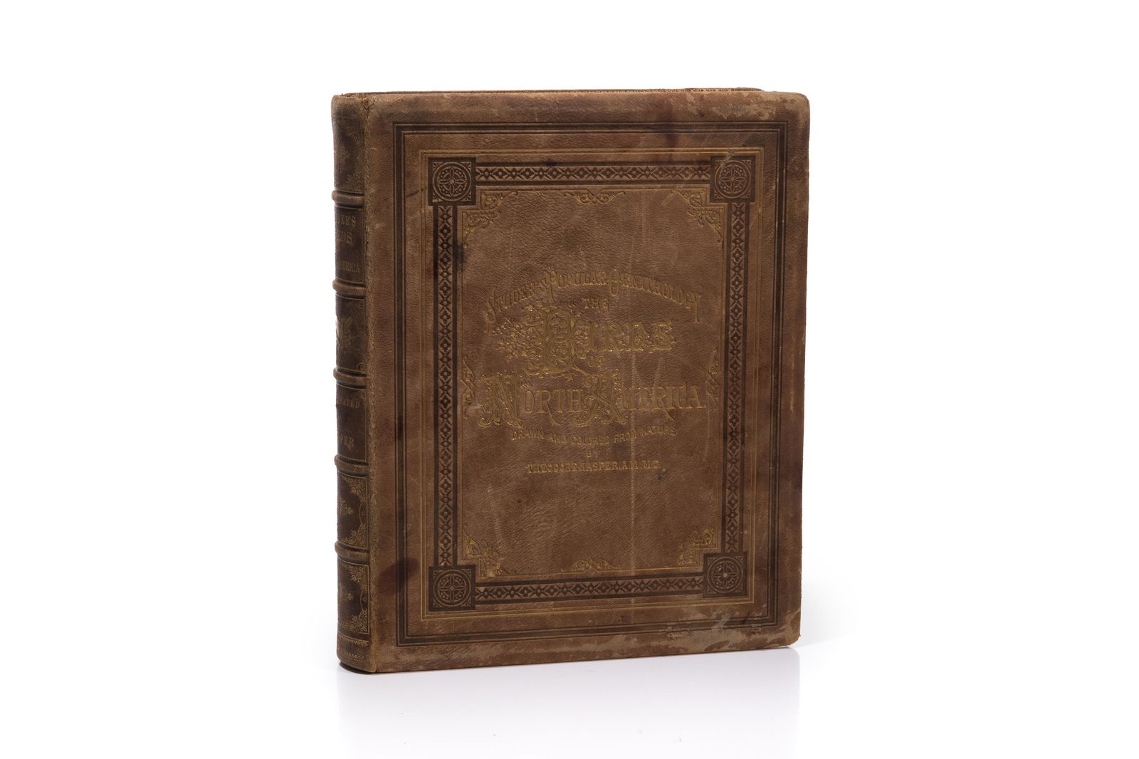 [PLATES] JASPER: STUDERâ€™S POPULAR ORNITHOLOGY (1 of 4)