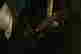 item-120721956=4