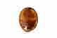 item-120756529=2