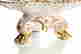 item-123092905=5