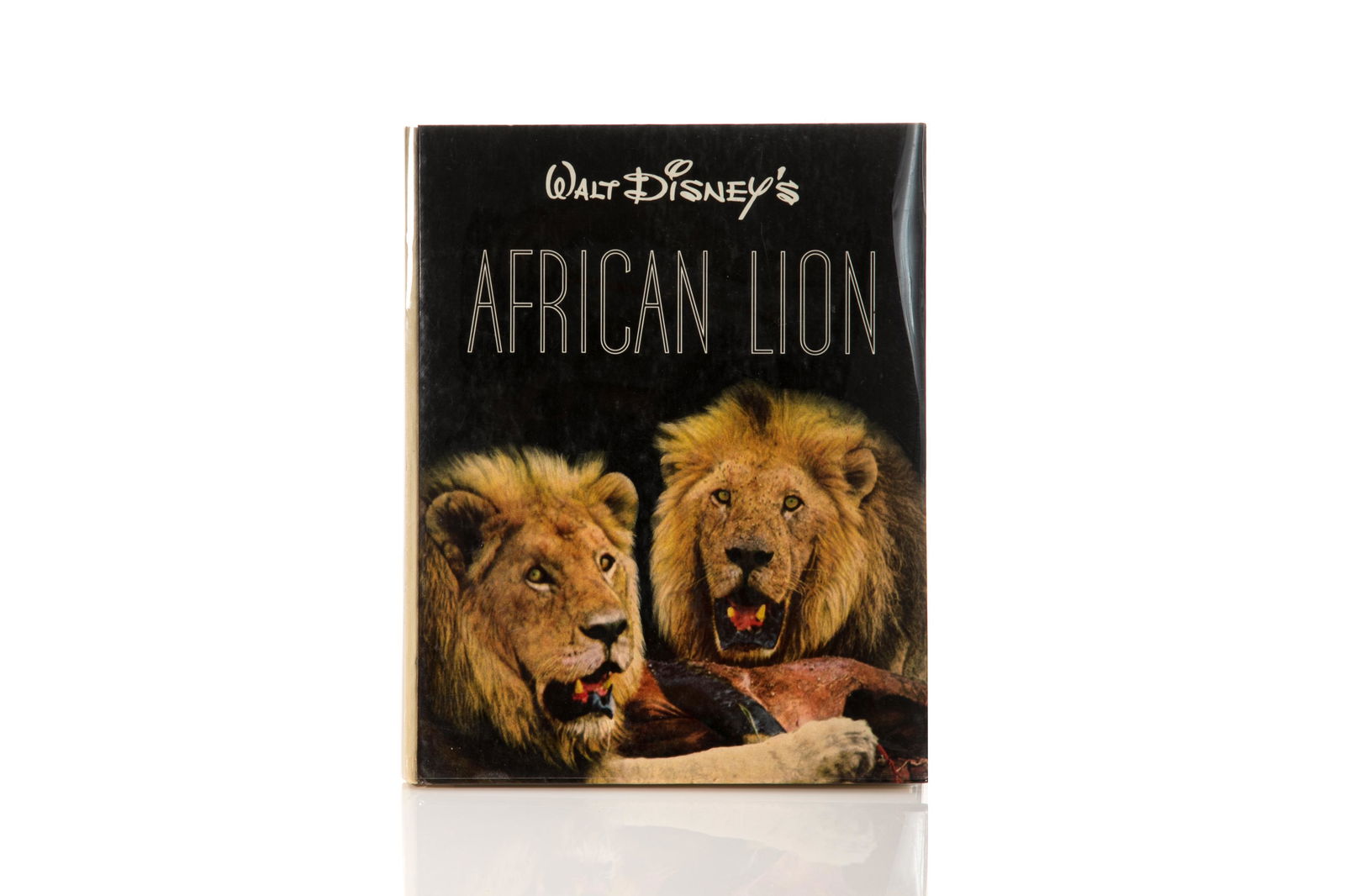 WALT DISNEY'S AFRICAN LION SIGNED (1 of 3)