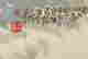 item-131166100=2