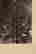 item-131166103=3