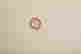 item-134421258=5